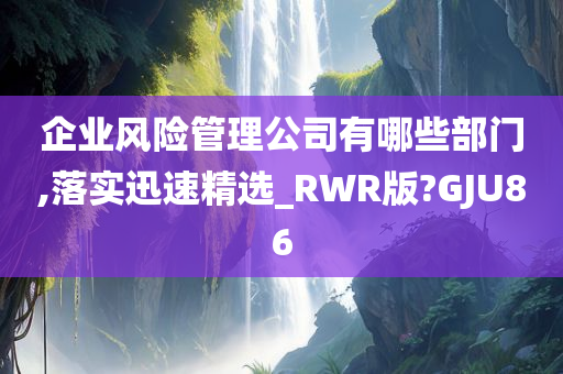 企业风险管理公司有哪些部门,落实迅速精选_RWR版?GJU86