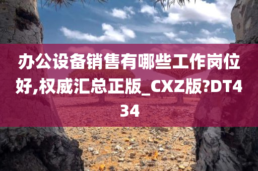 办公设备销售有哪些工作岗位好,权威汇总正版_CXZ版?DT434