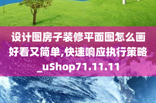 设计图房子装修平面图怎么画好看又简单,快速响应执行策略_uShop71.11.11