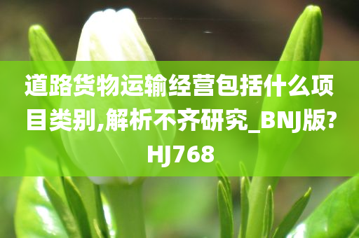 道路货物运输经营包括什么项目类别,解析不齐研究_BNJ版?HJ768