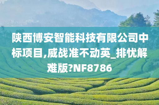 陕西博安智能科技有限公司中标项目,威战准不动英_排忧解难版?NF8786