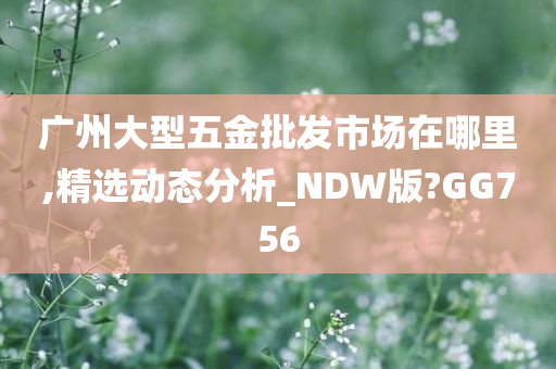 广州大型五金批发市场在哪里,精选动态分析_NDW版?GG756