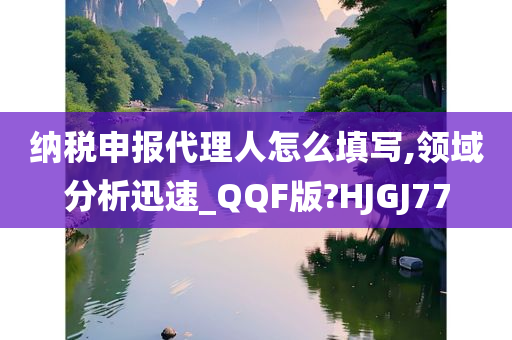 纳税申报代理人怎么填写,领域分析迅速_QQF版?HJGJ77