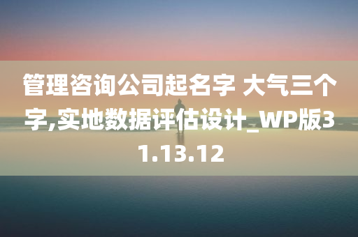 管理咨询公司起名字 大气三个字,实地数据评估设计_WP版31.13.12