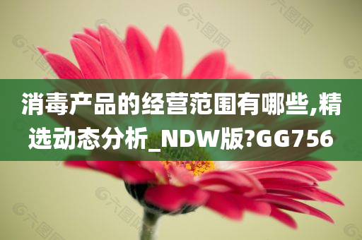 消毒产品的经营范围有哪些,精选动态分析_NDW版?GG756