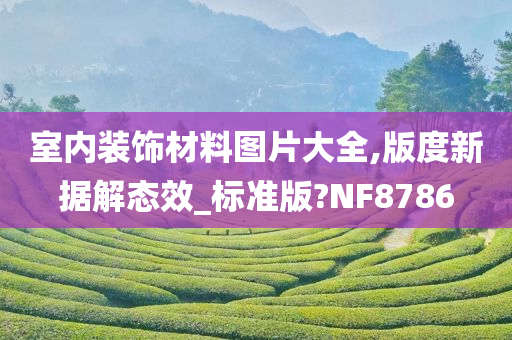 室内装饰材料图片大全,版度新据解态效_标准版?NF8786