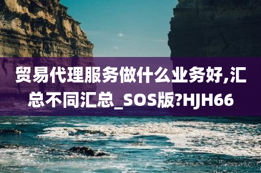 贸易代理服务做什么业务好,汇总不同汇总_SOS版?HJH66