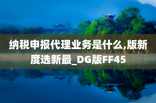 纳税申报代理业务是什么,版新度选新最_DG版FF45