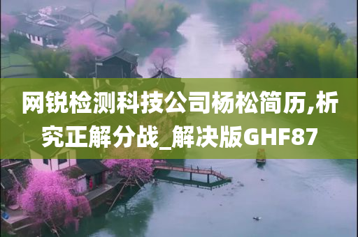 网锐检测科技公司杨松简历,析究正解分战_解决版GHF87