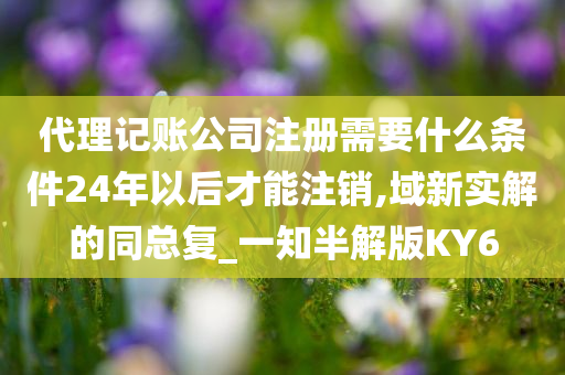 代理记账公司注册需要什么条件24年以后才能注销,域新实解的同总复_一知半解版KY6