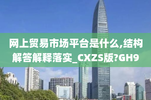 网上贸易市场平台是什么,结构解答解释落实_CXZS版?GH9