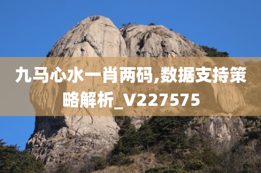 九马心水一肖两码,数据支持策略解析_V227575