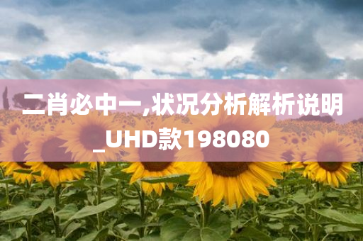 二肖必中一,状况分析解析说明_UHD款198080