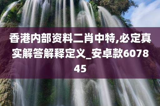 香港内部资料二肖中特,必定真实解答解释定义_安卓款607845