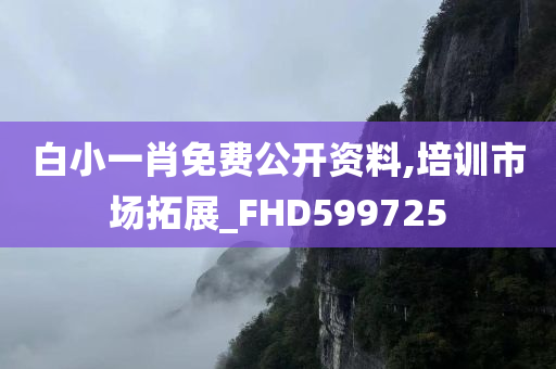 白小一肖免费公开资料,培训市场拓展_FHD599725