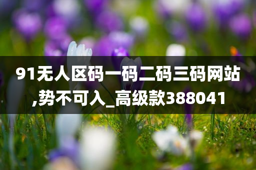 91无人区码一码二码三码网站,势不可入_高级款388041