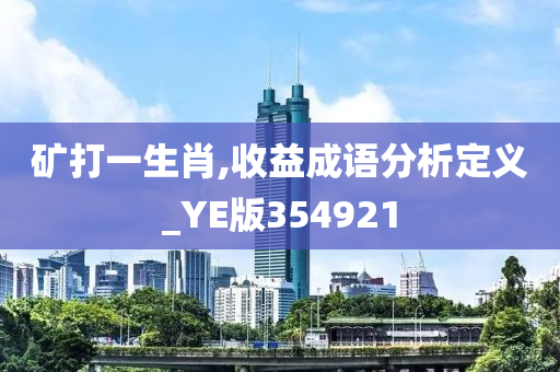 矿打一生肖,收益成语分析定义_YE版354921