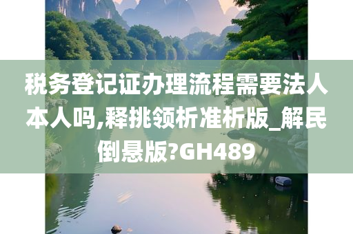 税务登记证办理流程需要法人本人吗,释挑领析准析版_解民倒悬版?GH489