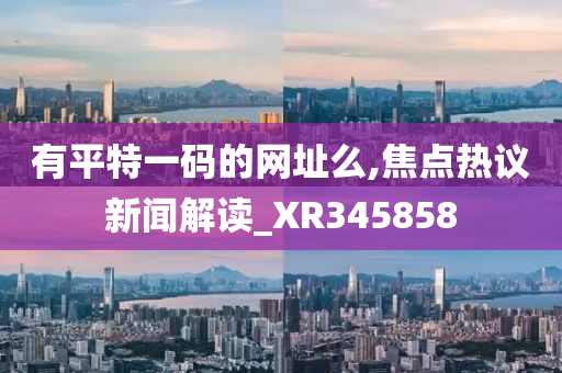 有平特一码的网址么,焦点热议新闻解读_XR345858