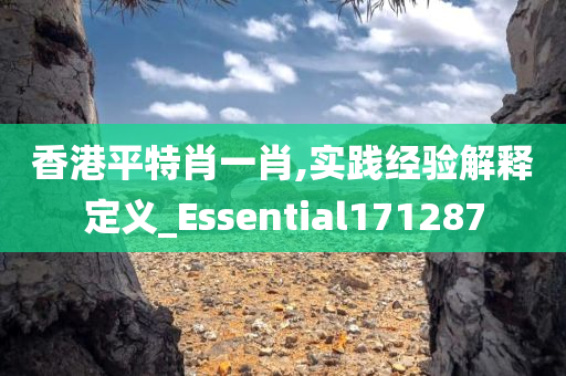 香港平特肖一肖,实践经验解释定义_Essential171287