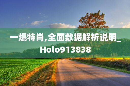 一爆特肖,全面数据解析说明_Holo913838