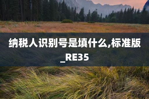 纳税人识别号是填什么,标准版_RE35