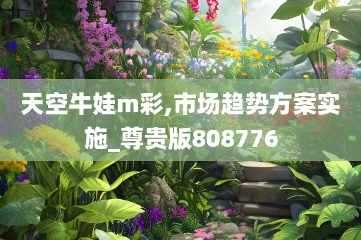 天空牛娃m彩,市场趋势方案实施_尊贵版808776