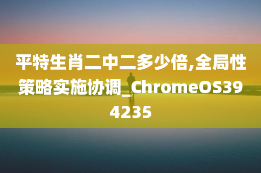 平特生肖二中二多少倍,全局性策略实施协调_ChromeOS394235