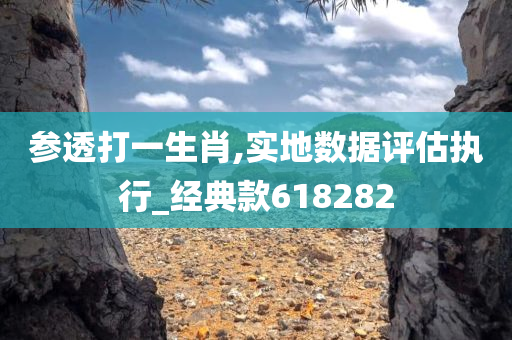 参透打一生肖,实地数据评估执行_经典款618282