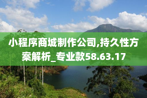 小程序商城制作公司,持久性方案解析_专业款58.63.17