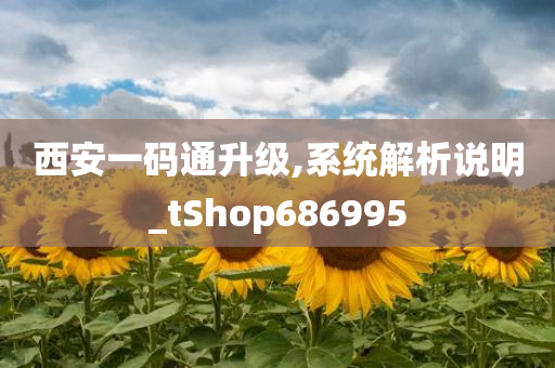 西安一码通升级,系统解析说明_tShop686995