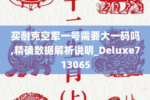 买耐克空军一号需要大一码吗,精确数据解析说明_Deluxe713065