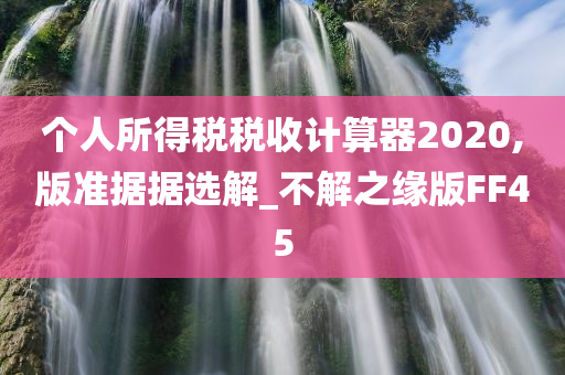 个人所得税税收计算器2020,版准据据选解_不解之缘版FF45