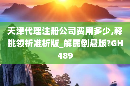 天津代理注册公司费用多少,释挑领析准析版_解民倒悬版?GH489