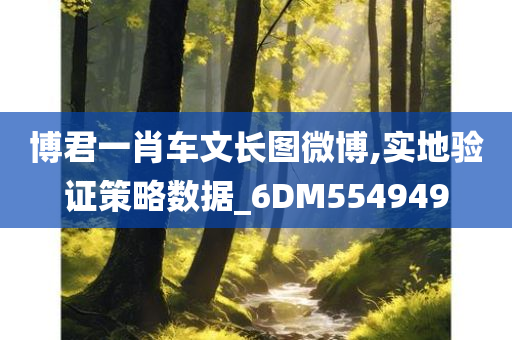 博君一肖车文长图微博,实地验证策略数据_6DM554949