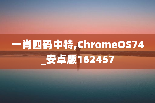 一肖四码中特,ChromeOS74_安卓版162457