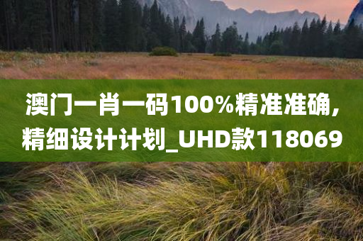 澳门一肖一码100%精准准确,精细设计计划_UHD款118069