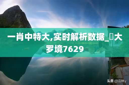 一肖中特大,实时解析数据_?大罗境7629