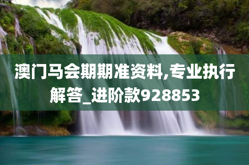 澳门马会期期准资料,专业执行解答_进阶款928853