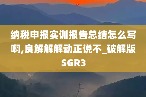 纳税申报实训报告总结怎么写啊,良解解解动正说不_破解版SGR3