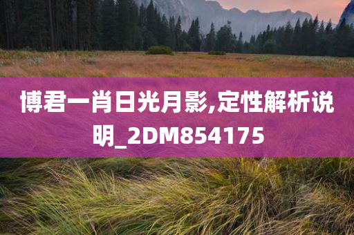 博君一肖日光月影,定性解析说明_2DM854175