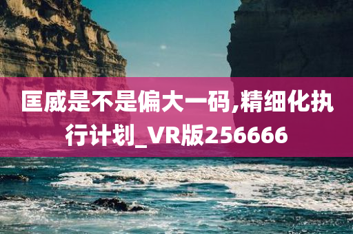 匡威是不是偏大一码,精细化执行计划_VR版256666