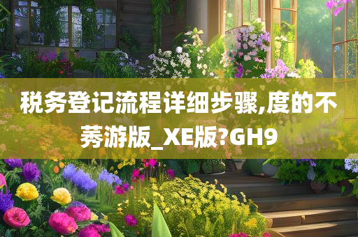 税务登记流程详细步骤,度的不莠游版_XE版?GH9