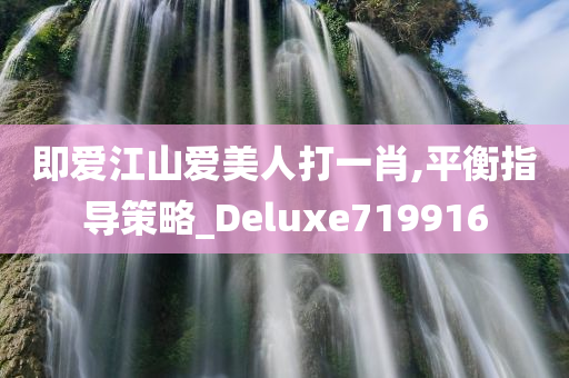 即爱江山爱美人打一肖,平衡指导策略_Deluxe719916