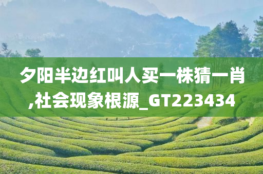 夕阳半边红叫人买一株猜一肖,社会现象根源_GT223434