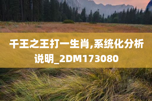 千王之王打一生肖,系统化分析说明_2DM173080