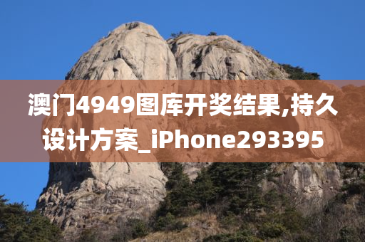 澳门4949图库开奖结果,持久设计方案_iPhone293395