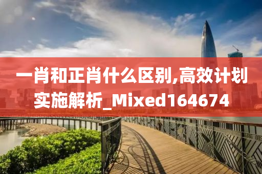 一肖和正肖什么区别,高效计划实施解析_Mixed164674