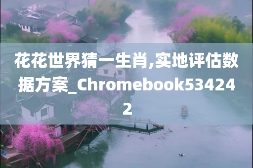 花花世界猜一生肖,实地评估数据方案_Chromebook534242