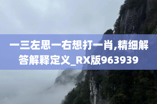 一三左思一右想打一肖,精细解答解释定义_RX版963939